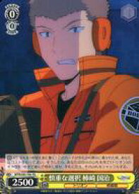 card561888-series433933-rarity557066