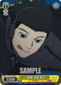 card561893-series433933-rarity557066