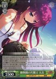 card563053-series435006-rarity557243