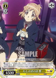 card563638-series435583-rarity557246