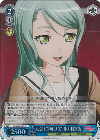 card564398-series436511-rarity557246