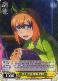 card566835-series439019-rarity557066