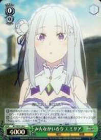 card566946-series439127-rarity557243