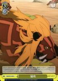 card567386-series439527-rarity557246