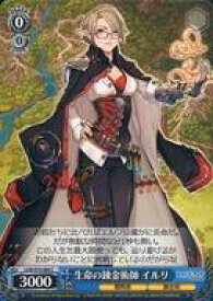 card567445-series439663-rarity557243