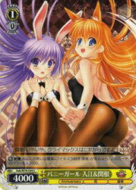 card567765-series439971-rarity557243