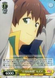 card568138-series440231-rarity557285