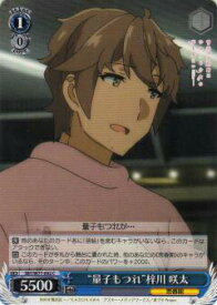 card568163-series440388-rarity557243