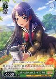 card569436-series441714-rarity557136