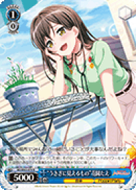 card572254-series444553-rarity557285