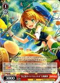 card572302-series444553-rarity557246