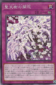 card2781-series6226-rarity1