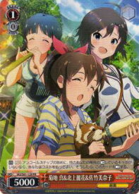 card572852-series445208-rarity557136