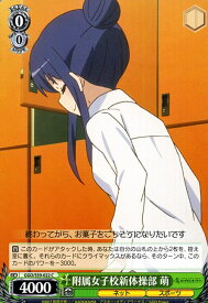 card573379-series445649-rarity557243