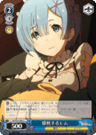 card574237-series446644-rarity557243