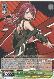 card574437-series446777-rarity619208