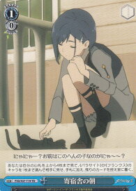 card574586-series447047-rarity557066