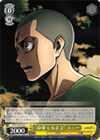 card576632-series449021-rarity557243