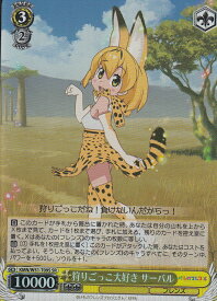 card576932-series449484-rarity557104