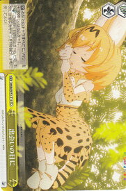 card576935-series449484-rarity557066