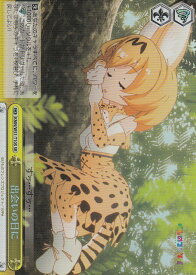 card576935-series449484-rarity557104