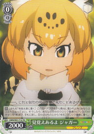 card576938-series449484-rarity557066