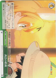 card576947-series449484-rarity557066