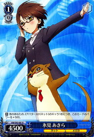 card579191-series451764-rarity557285