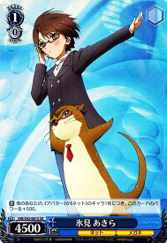 card579191-series451764-rarity557104