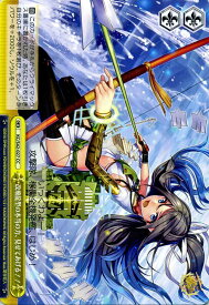 card579609-series452114-rarity557252