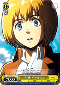 card582031-series454643-rarity557243