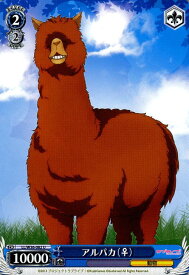 card582383-series455136-rarity557246