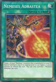 card582914-series377460-rarity540534