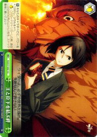 card588421-series461201-rarity557252