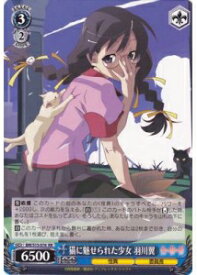 card590170-series463054-rarity557275