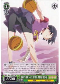 card590213-series463054-rarity557275