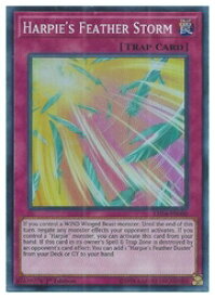 card602002-series373136-rarity540535