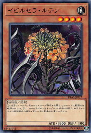 card3506-series8062-rarity1