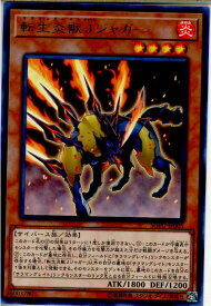 card4445-series10094-rarity62