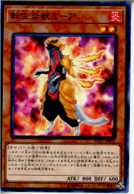 card4451-series10094-rarity1