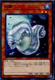 card5241-series11918-rarity1