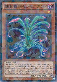 card5516-series12655-rarity2