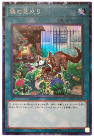 card5583-series10878-rarity1299