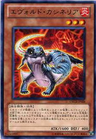 card8398-series19161-rarity62