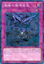 card8486-series19334-rarity1