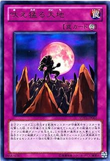 card8683-series19855-rarity7