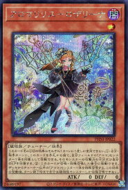 card953-series1985-rarity5