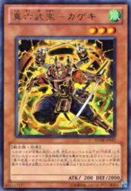 card8981-series20423-rarity62