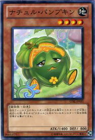 card9172-series20765-rarity1