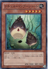 card9300-series21063-rarity3